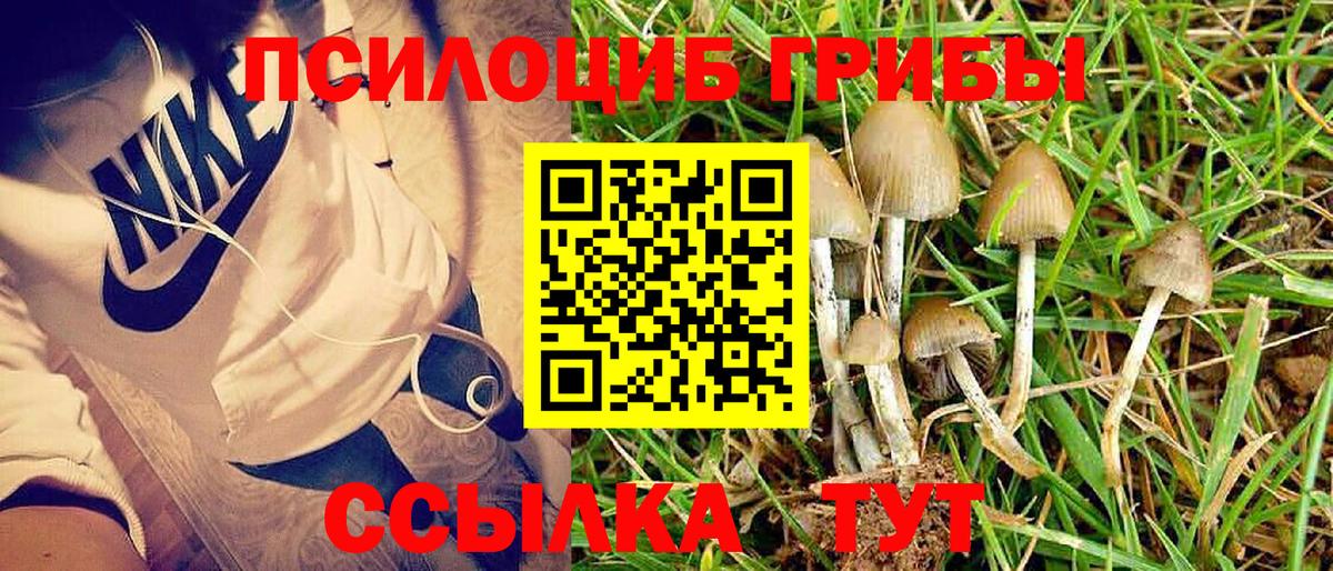 Псилоцибиновые грибы GOLDEN TEACHER Изобильный
