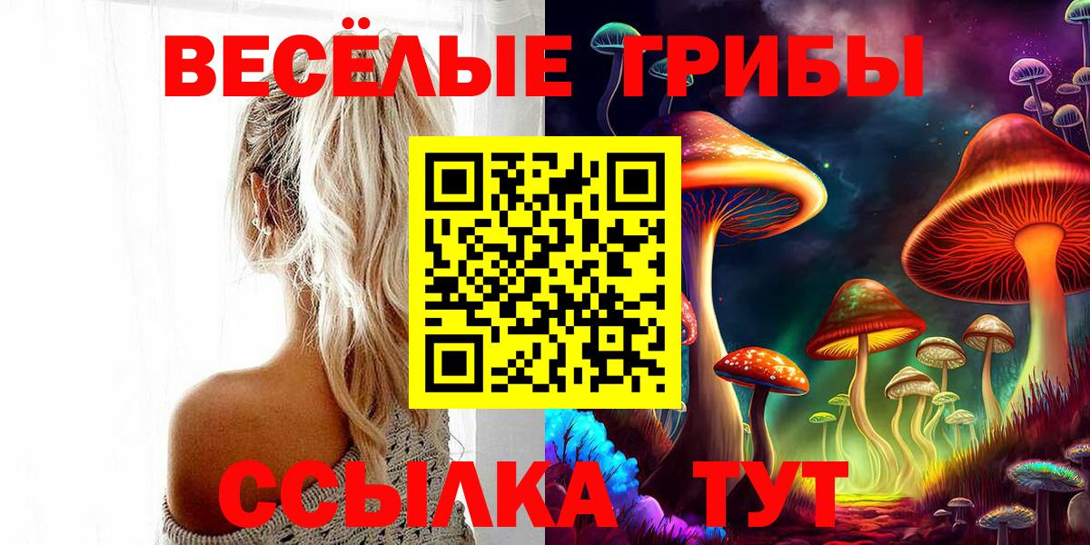 Псилоцибиновые грибы Magic Shrooms  Вход с VPN  Изобильный 